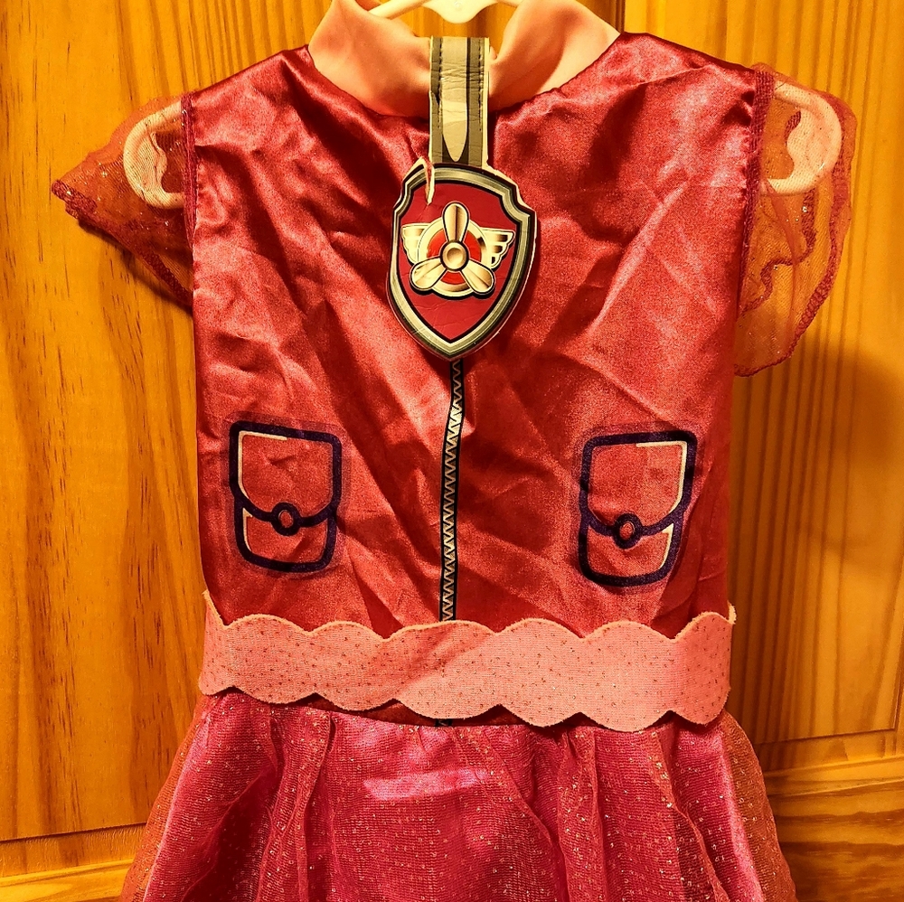 Paw Patrol Skye Costume
